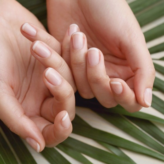 Oliwka do skórek Miss Soft Peach nawilżenie pielęgnacja | MANICA.PL