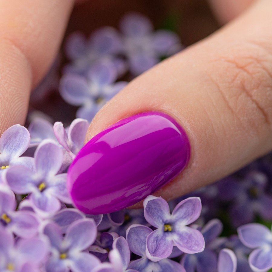 Głęboki Fioletowy Lakier Hybrydowy LED/UV z wykończeniem | MANICA.PL