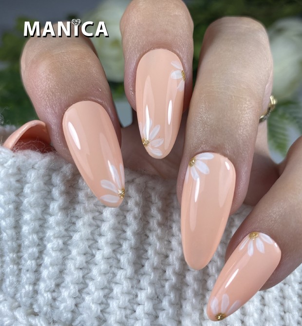 119  Apricot Cream
